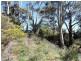 1 Midway Lane, Sulphur Creek TAS 7316
