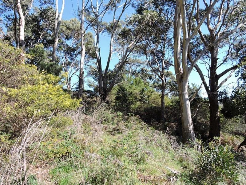 1 Midway Lane, Sulphur Creek TAS 7316