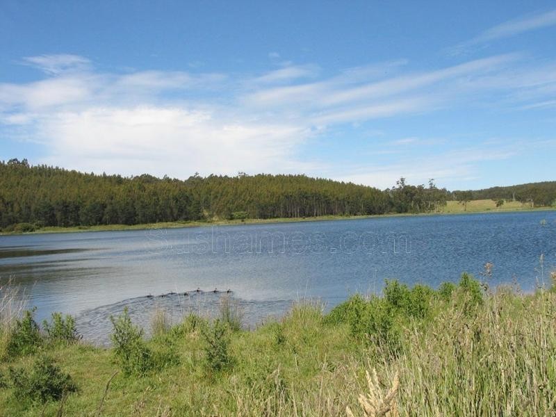 Deloraine TAS 7304