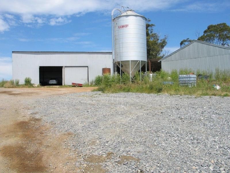 Deloraine TAS 7304