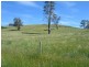 Deloraine TAS 7304