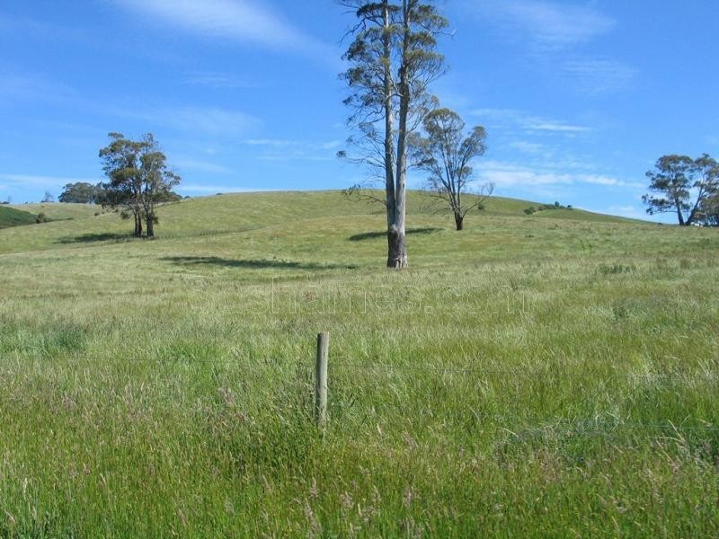 Deloraine TAS 7304