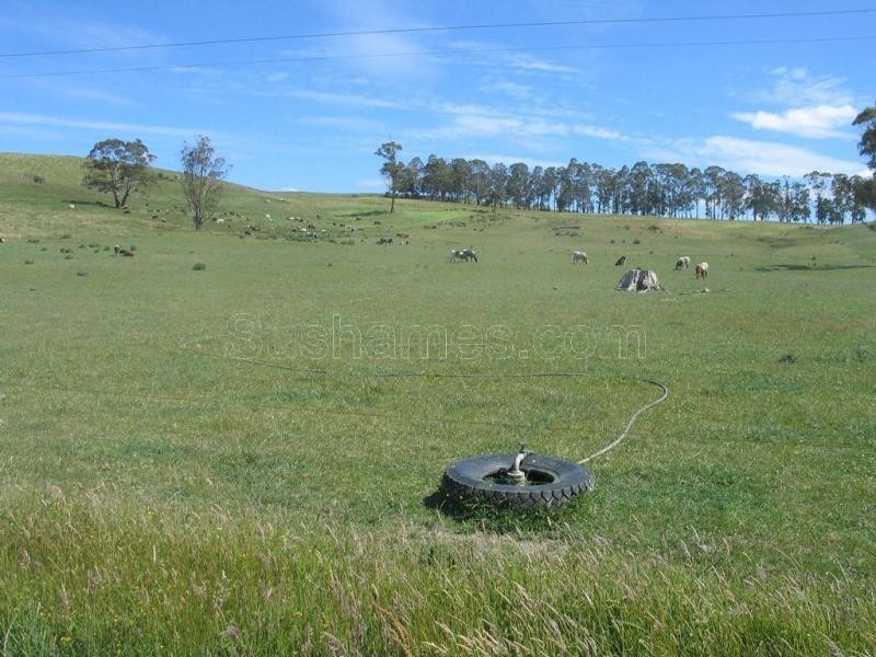 Deloraine TAS 7304