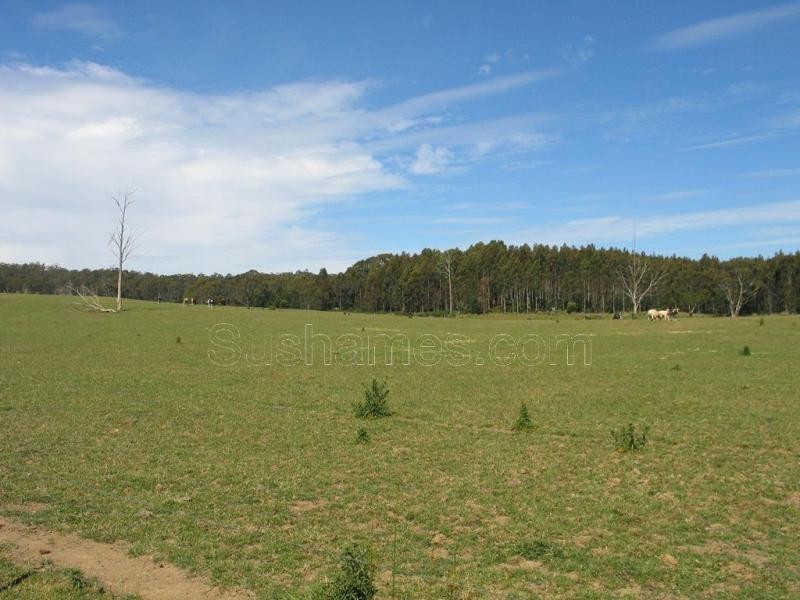 Deloraine TAS 7304