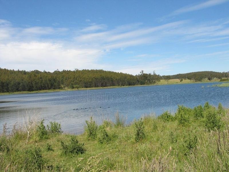 Deloraine TAS 7304