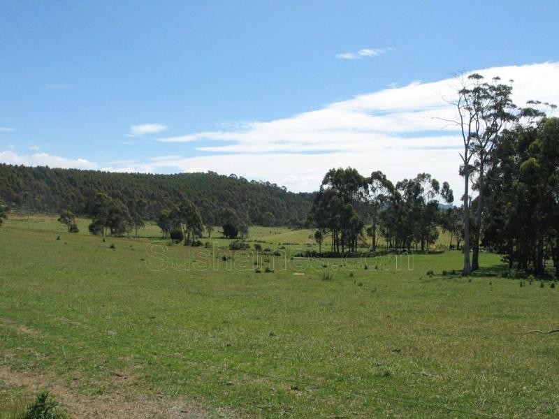 Deloraine TAS 7304