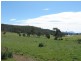Deloraine TAS 7304