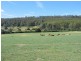 Deloraine TAS 7304
