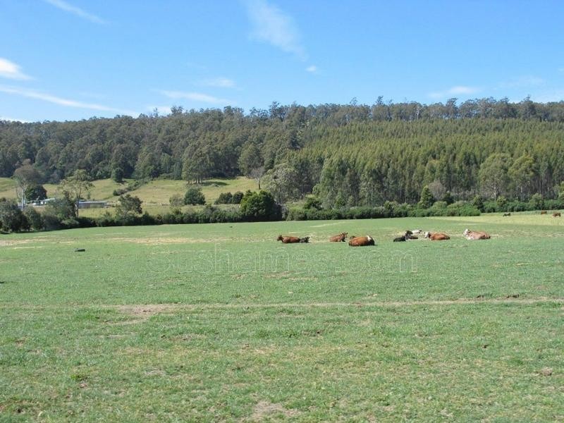 Deloraine TAS 7304