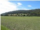 Deloraine TAS 7304