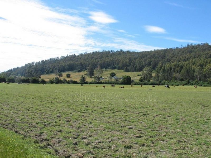 Deloraine TAS 7304