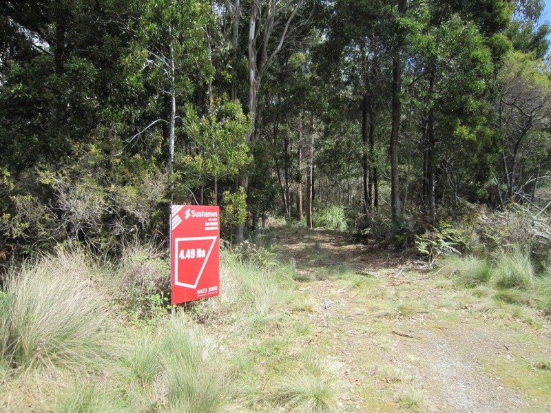 86 Dallys Road, Railton TAS 7305