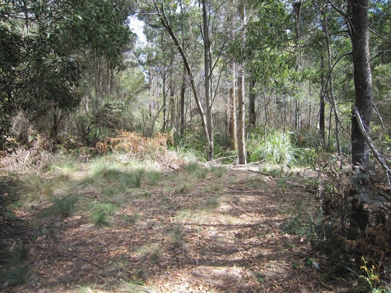 86 Dallys Road, Railton TAS 7305