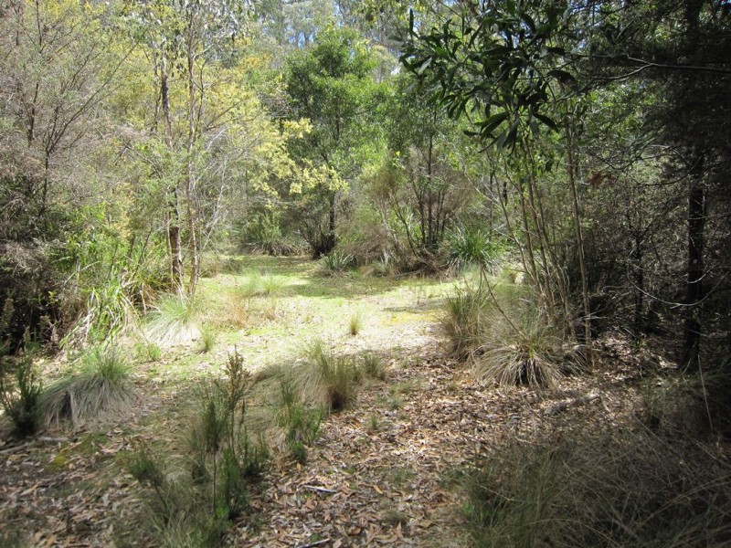 86 Dallys Road, Railton TAS 7305