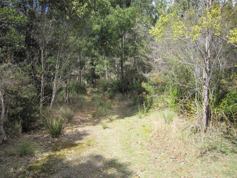 86 Dallys Road, Railton TAS 7305