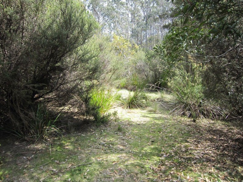 86 Dallys Road, Railton TAS 7305