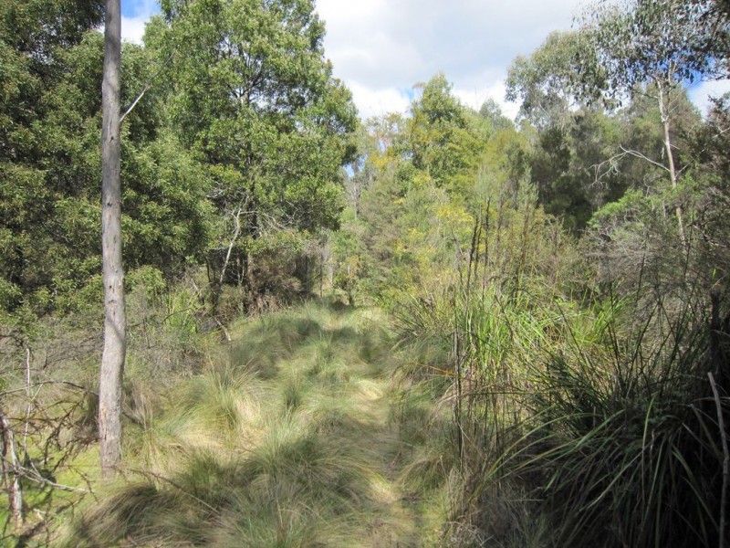 86 Dallys Road, Railton TAS 7305