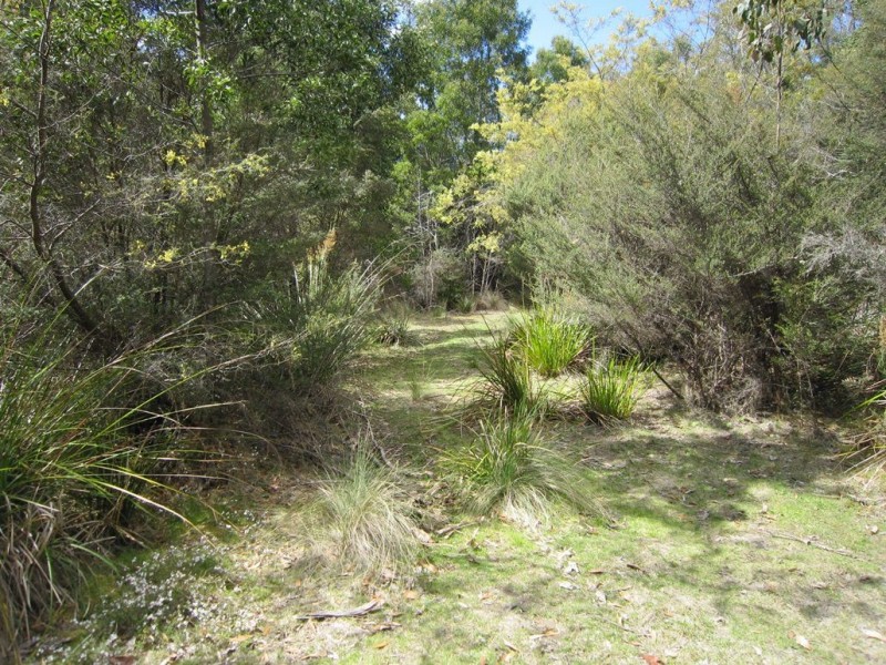 86 Dallys Road, Railton TAS 7305