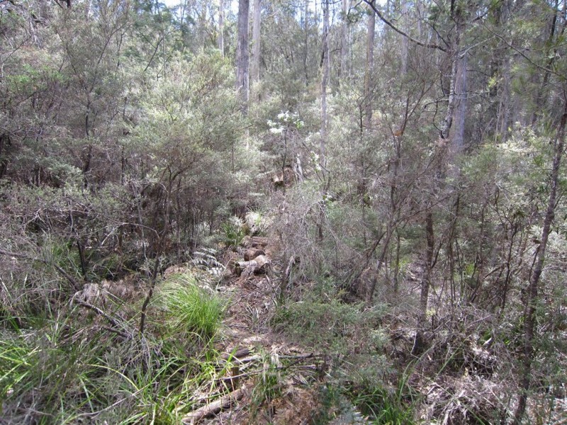 86 Dallys Road, Railton TAS 7305