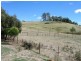 106 Billing Road, West Kentish TAS 7306