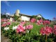 718 Sunnyside Road, Sunnyside TAS 7305
