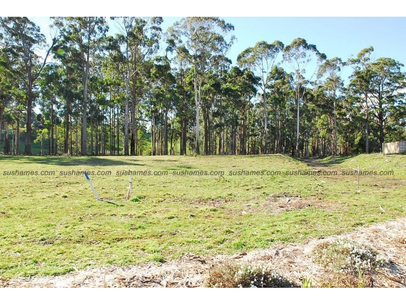 Lot 19 Collins Way, Tugrah TAS 7310
