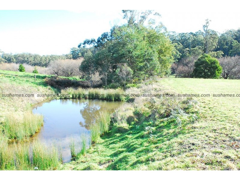 Lot 17 Collins Way, Tugrah TAS 7310