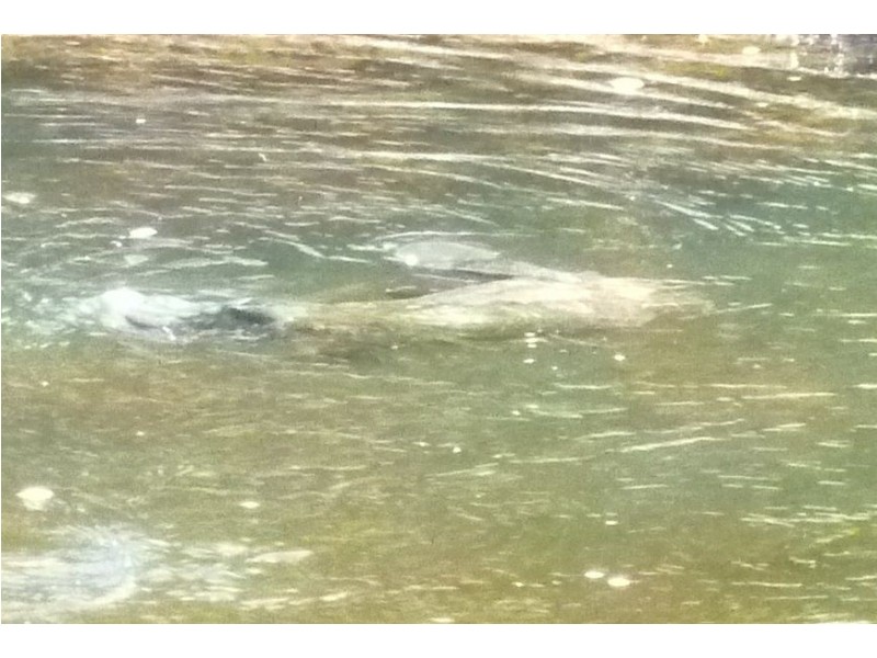 Lot 16 Collins Way, Tugrah TAS 7310