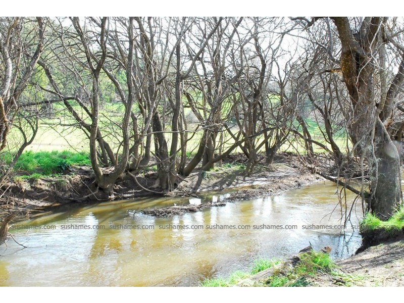 Lot 16 Collins Way, Tugrah TAS 7310