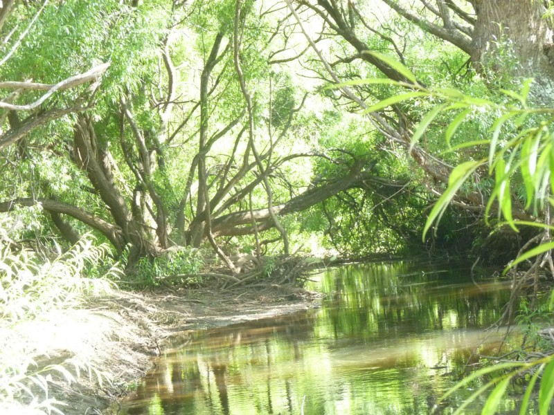 Lot 16 Collins Way, Tugrah TAS 7310