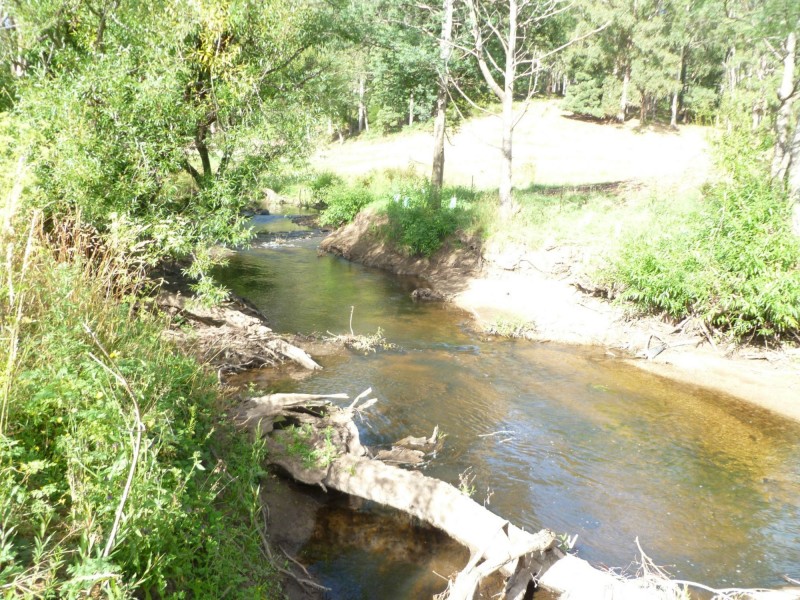 Lot 12 Collins Way, Tugrah TAS 7310