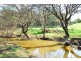 Lot 12 Collins Way, Tugrah TAS 7310