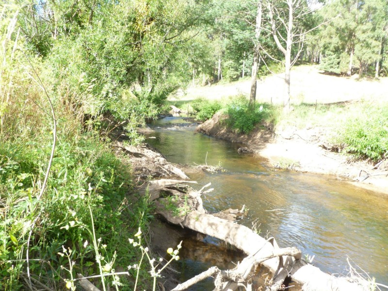Lot 12 Collins Way, Tugrah TAS 7310