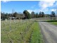 755 West Tamar Highway, Legana TAS 7277