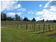 755 West Tamar Highway, Legana TAS 7277
