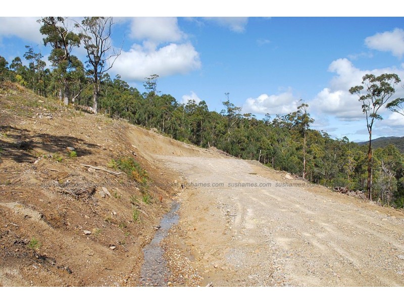 Lot 15 Forest Heights Drive, Tugrah TAS 7310