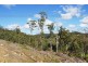 Lot 15 Forest Heights Drive, Tugrah TAS 7310