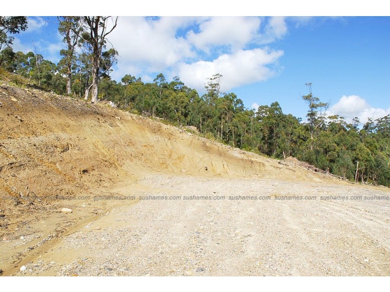 Lot 15 Forest Heights Drive, Tugrah TAS 7310