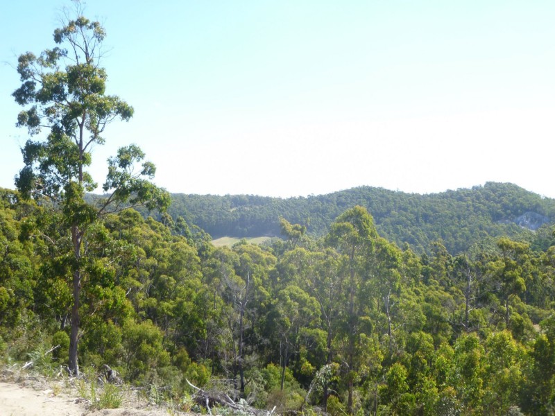 Lot 15 Forest Heights Drive, Tugrah TAS 7310