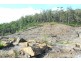 Lot 20 Forest Heights Drive, Tugrah TAS 7310