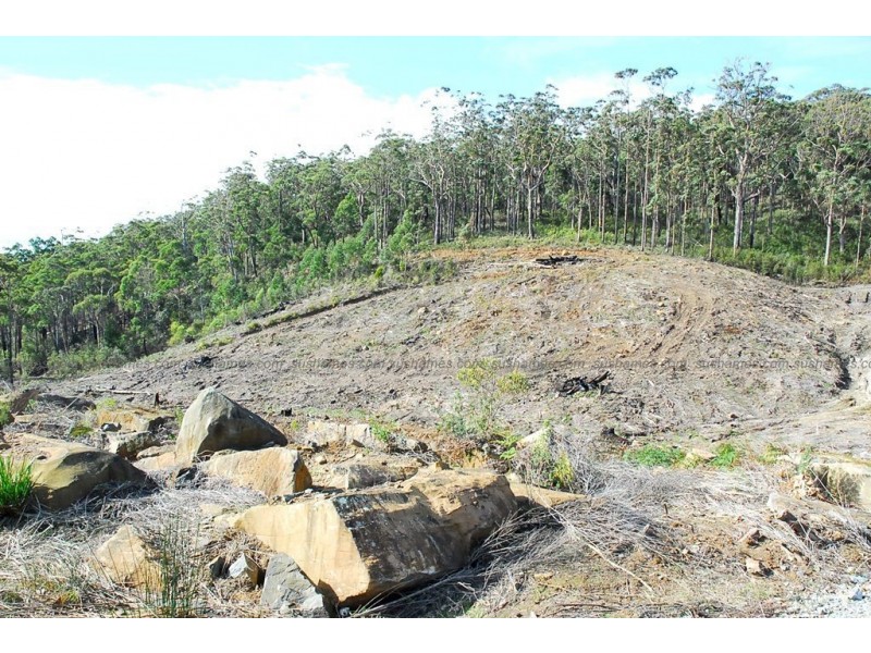 Lot 20 Forest Heights Drive, Tugrah TAS 7310