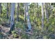 Lot 20 Forest Heights Drive, Tugrah TAS 7310