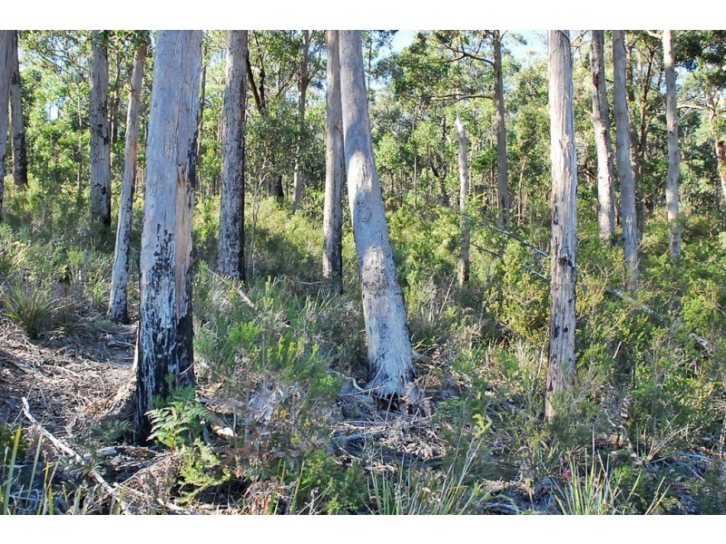 Lot 20 Forest Heights Drive, Tugrah TAS 7310