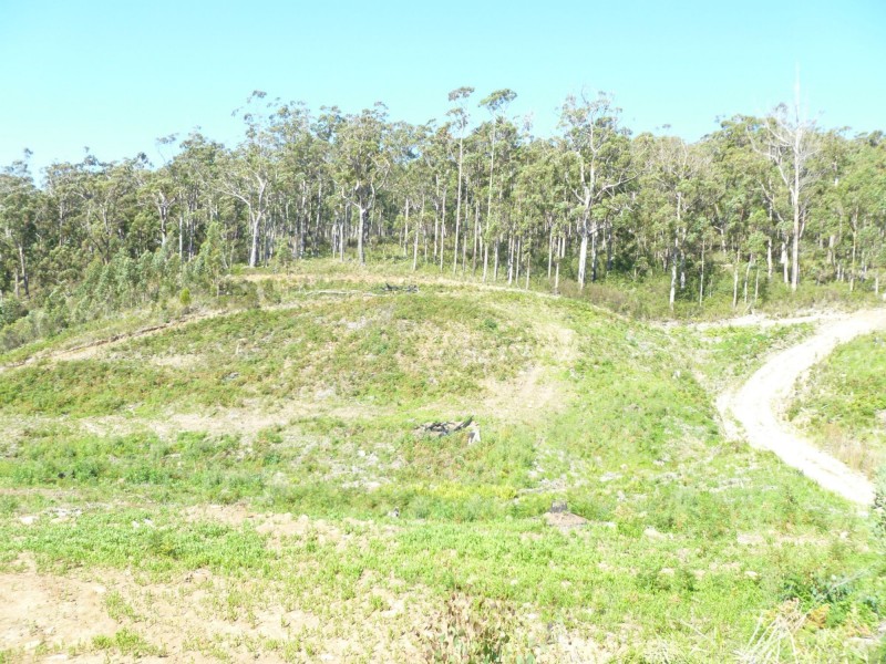 Lot 20 Forest Heights Drive, Tugrah TAS 7310