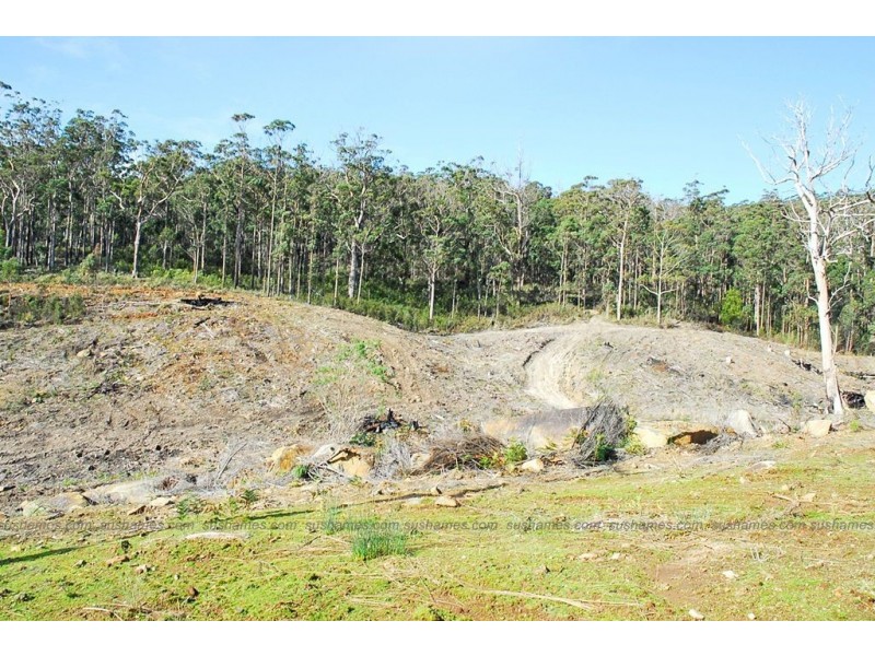 Lot 20 Forest Heights Drive, Tugrah TAS 7310