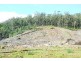 Lot 20 Forest Heights Drive, Tugrah TAS 7310