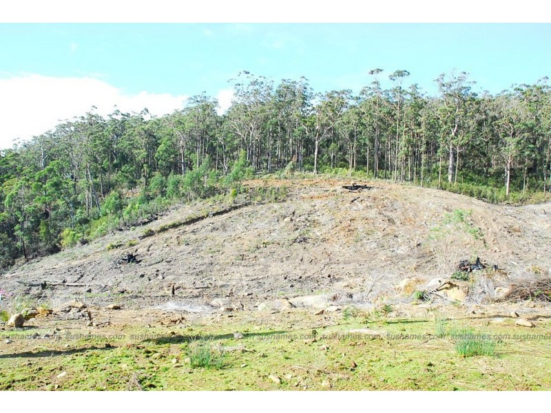 Lot 20 Forest Heights Drive, Tugrah TAS 7310