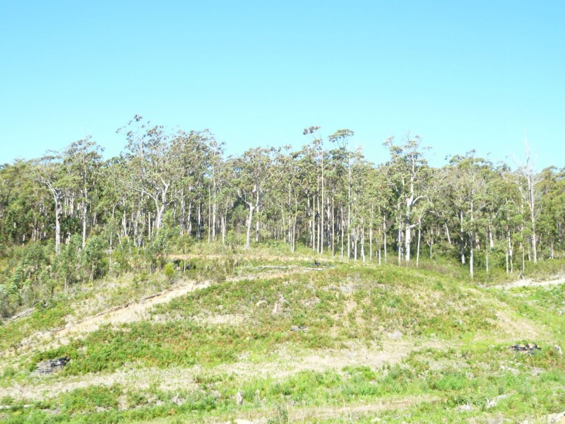 Lot 20 Forest Heights Drive, Tugrah TAS 7310