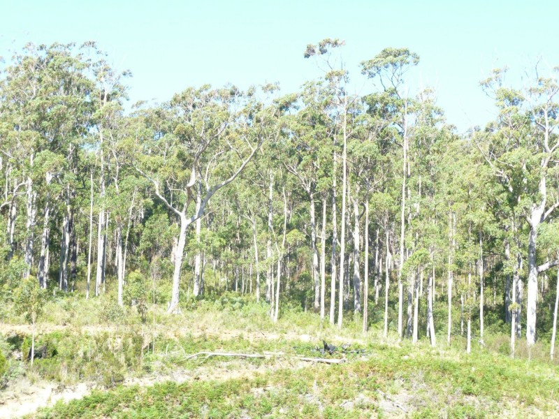 Lot 20 Forest Heights Drive, Tugrah TAS 7310