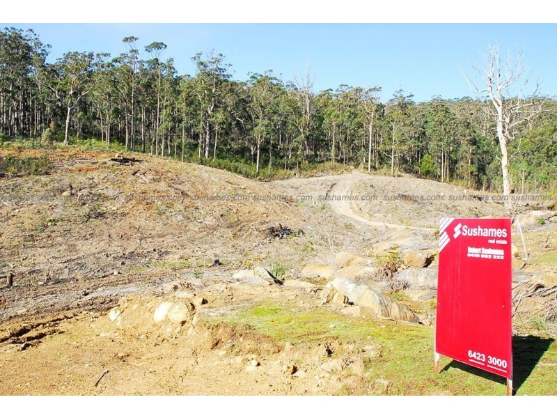 Lot 20 Forest Heights Drive, Tugrah TAS 7310